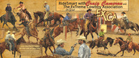 large wall/ display banner 2.5 x 6 ft.