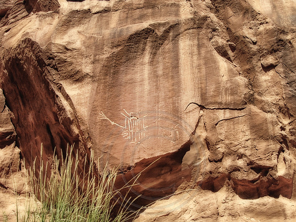 Petroglyph-Lazy L& B Ranch Dubois WYO