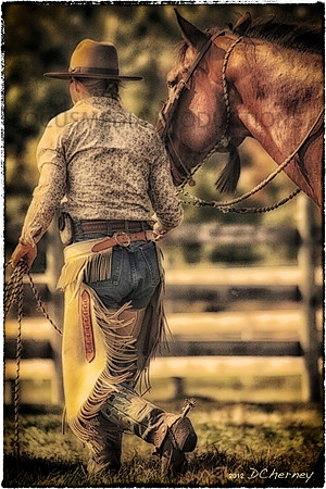 StockHorseofWI_images for Note Cards