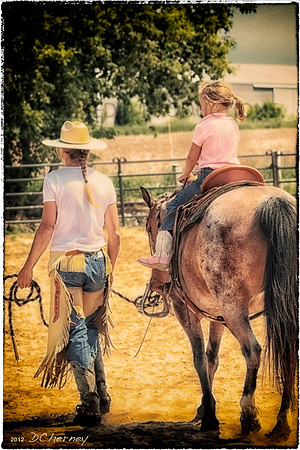 StockHorseofWI_images for Greeting Cards