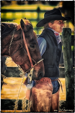 StockHorseofWI_images for Greeting Cards